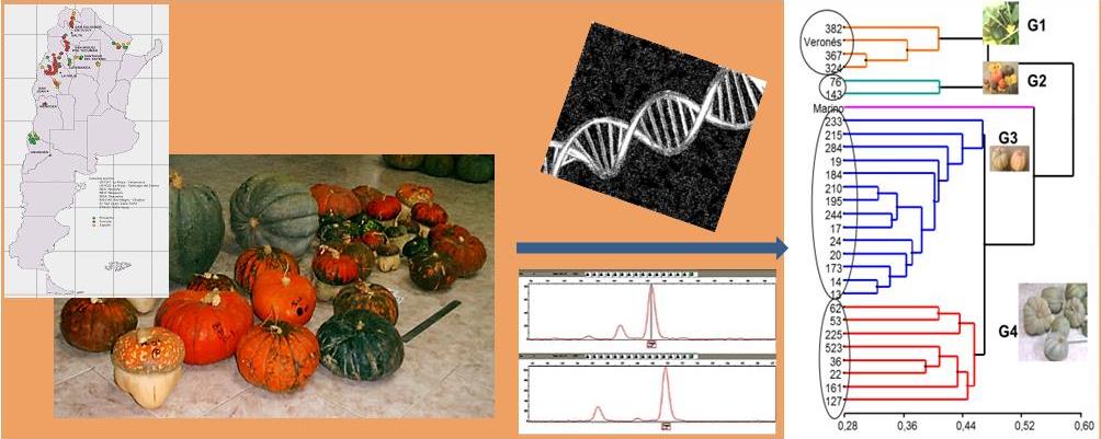 Graphical_abstract_revista_facultad1.jpg