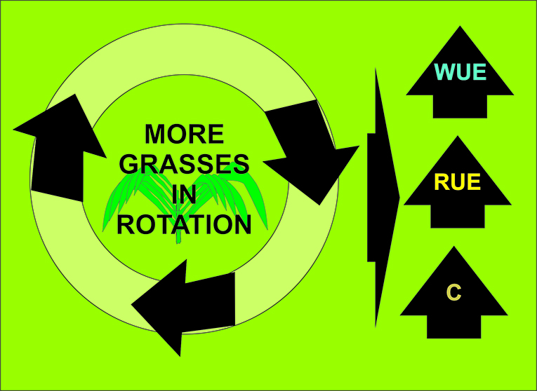 graphical23.jpg