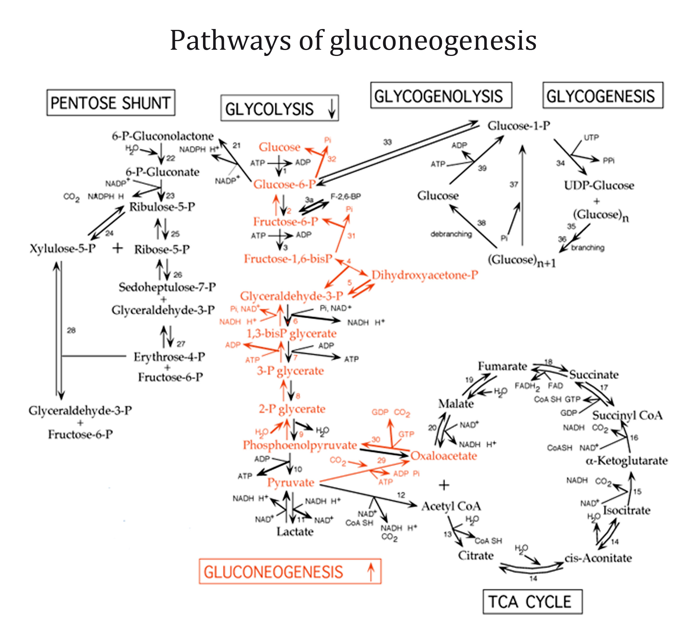 Graphical_abstract8.jpg
