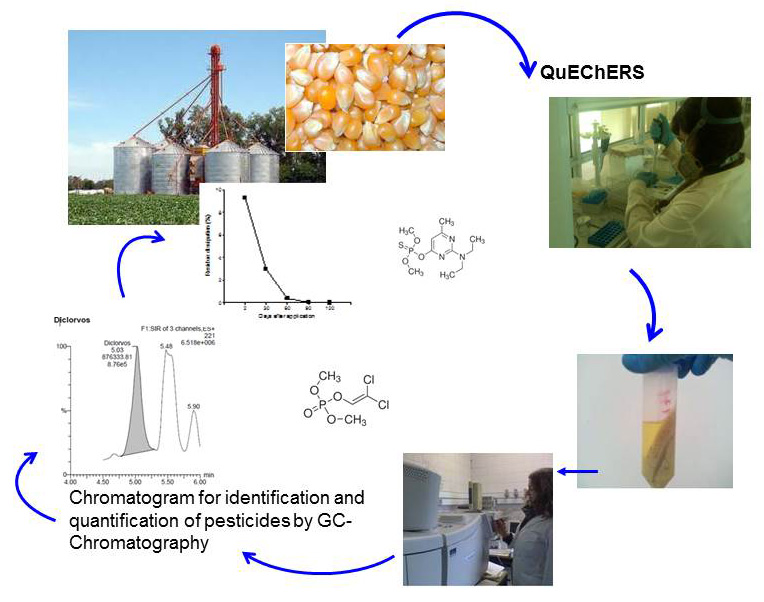 Graphical_abstract_(2)1.jpg